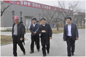 樊书记在百枣区视察.jpg