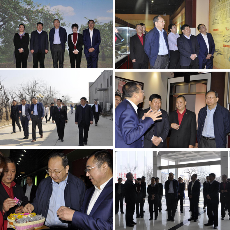 3-14中国食品工业集团党委书记考察.jpg